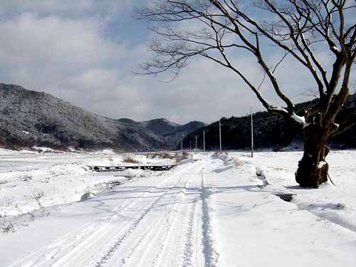 고향 화순에 이르고 보니. 이리 쭉 올라갑니다. 다시 십리를... 